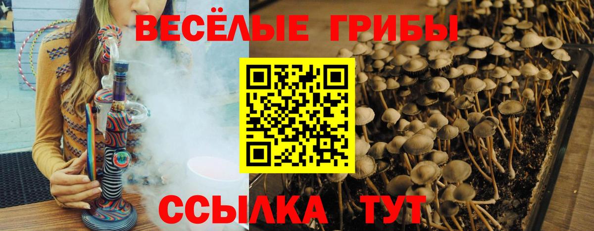 Экстази  ГАШ  НБОМе  Меф  Киреевск  Вход с VPN  МЕФ кристаллы  МАРИХУАНА  Cocaine 