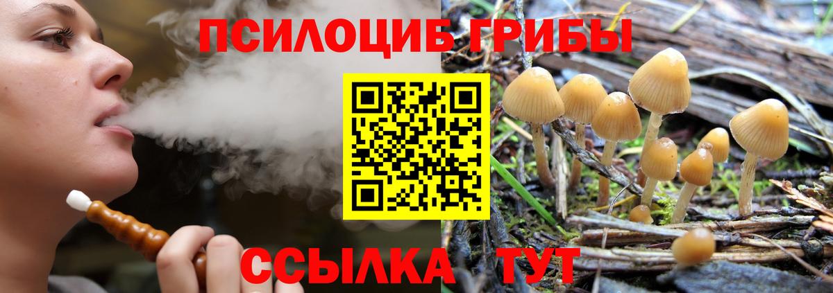 Псилоцибиновые грибы мухоморы  Вход с VPN  Киреевск 